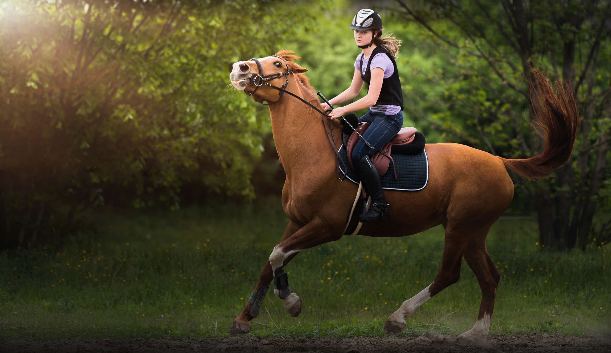 Young pretty girl riding a horse -  jumping over hurdle with in spring time